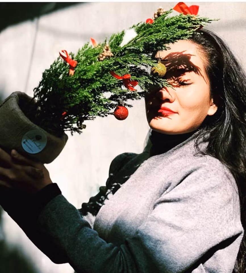 Ngoài Sơn Tùng thì họ Tùng còn rất nhiều loại khác như Tuyết Tùng, Tùng Thơm, Tiên Tùng với nhiều kích thước, kiểu dáng cũng là các lựa chọn để các bạn trẻ chọn để sống ảo mùa Giáng sinh năm nay.