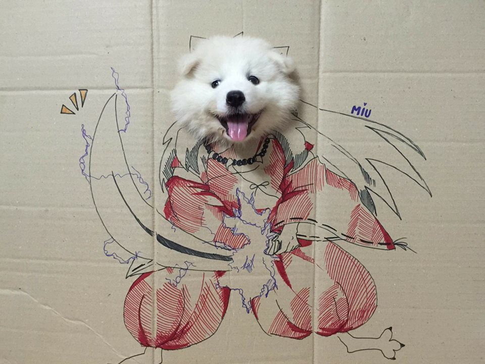 Thanh niên hợp tác nhất năm. Cũng giống Inu thật chẳng đùa.