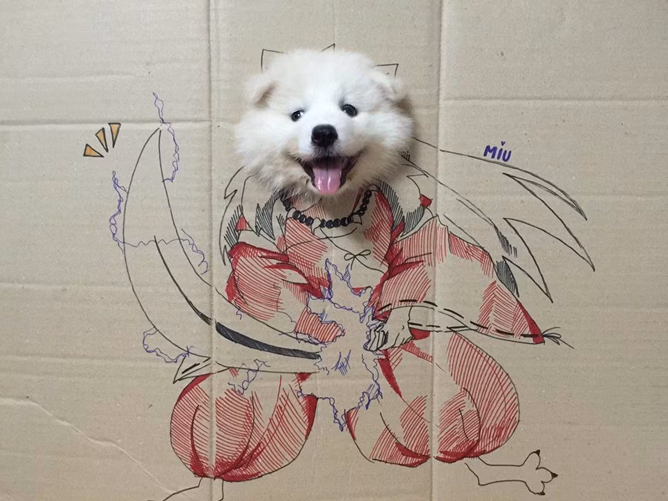 Thanh niên hợp tác nhất năm. Cũng giống Inu thật chẳng đùa.