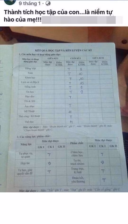 Trên trang cá nhân của Trinh, cô ta luôn thể hiện mình là người thương chồng, thương con và được chồng chiều chuộng hết mực với những hình ảnh minh họa cực tình cảm. Điều khá khó hiểu là dù không cho bé đi học từ năm 2016 nhưng đầu năm 2017, bà mẹ kế còn đăng bảng điểm cá nhân của con chồng rồi lên mạng khoe: "Thành tích học tập của con là niềm tự hào của mẹ".