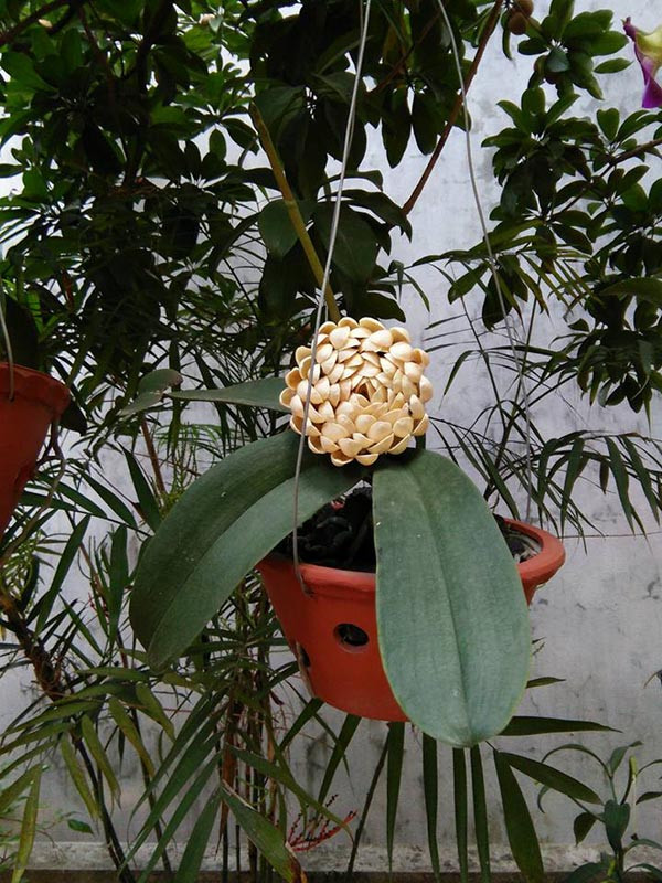 Năm nay Tết và ngày Valentine cận kề nhau, nhiều người đau đáu không biết nên tặng người yêu quà gì vừa lãng mạn, tình cảm nhưng cũng phải hợp túi tiền một tý. Vì vậy, cư dân mạng đã bày cách lựa chọn món quà Valentine ý nghĩa, vừa không mất đồng nào lại khiến người yêu nhìn thấy đã phải cảm động không thôi.