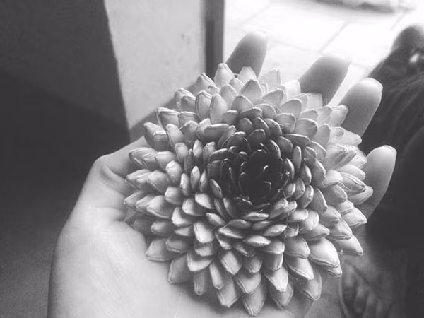 Một chút khéo tay cùng tỉ mẩn ngồi xếp hạt sẽ giúp các bạn trẻ có món quà lễ tình nhân vừa độc đáo, rẻ tiền và giải quyết được đóng hàng tồn kho sau Tết.