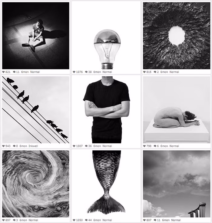 Thay vào đó, Ng Weijiang sắp xếp những bức ảnh được đăng trên mạng xã hội Instagram của mình thành một bức ảnh lớn có chủ đề nhất định.