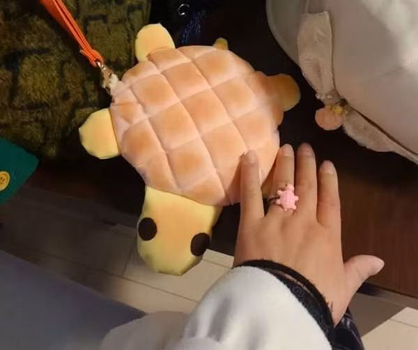 Khi bánh dứa biến hình thành rùa.