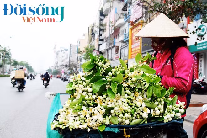 Những gánh hàng rong trên phố Xã Đàn lo lắng vì bán chậm hơn so với mọi năm. Ảnh C.N