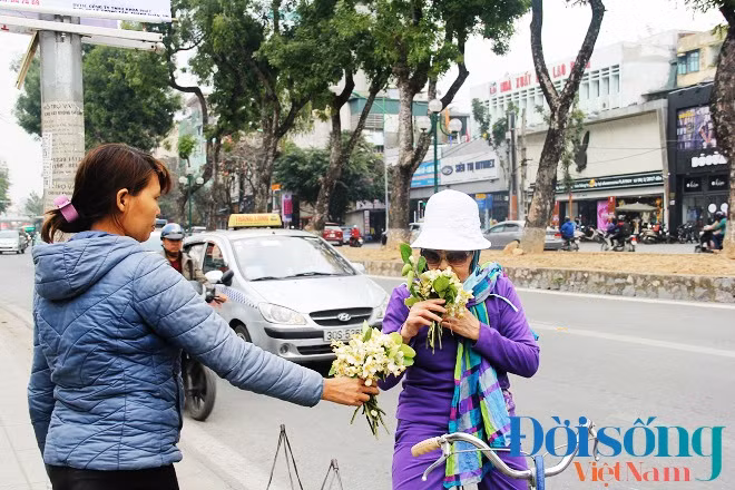 Chị Thanh Hoa ở Đống Đa cho biết: Do hoa bưởi nhanh tàn nên chị cũng chỉ mua một hai cành về ngắt hoa thả vào bình nước cho thơm phòng thôi chứ không mua nhiều.