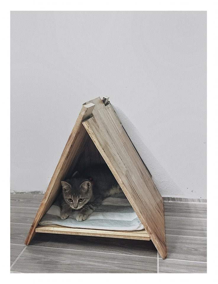 Ngôi nhà nhỏ của chú mèo nhìn cực yêu cũng do chính tay Công Anh thực hiện.
