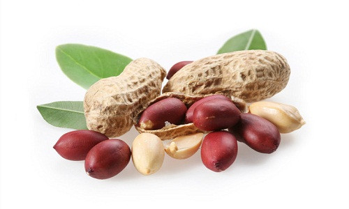 Hạt lạc có khá nhiều công dụng.