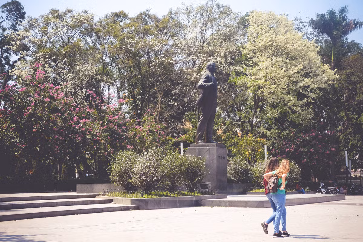 Xung quanh tượng đài trong công viên Lenin, bạn cũng tìm thấy nhiều cây sưa đang rộ nở, xen lẫn những cây hoa ban tím, nếu đi trên đường Điện Biên Phủ.
