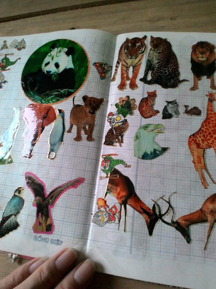 Thế giới động vật cũng là chủ đề được nhiều bạn trẻ đưa vào quyển vở thần thánh của mình. Bên cạnh đó, các bạn còn có những dòng chú thích dễ thương, thậm chí còn đặt tên cho từng con vật.
