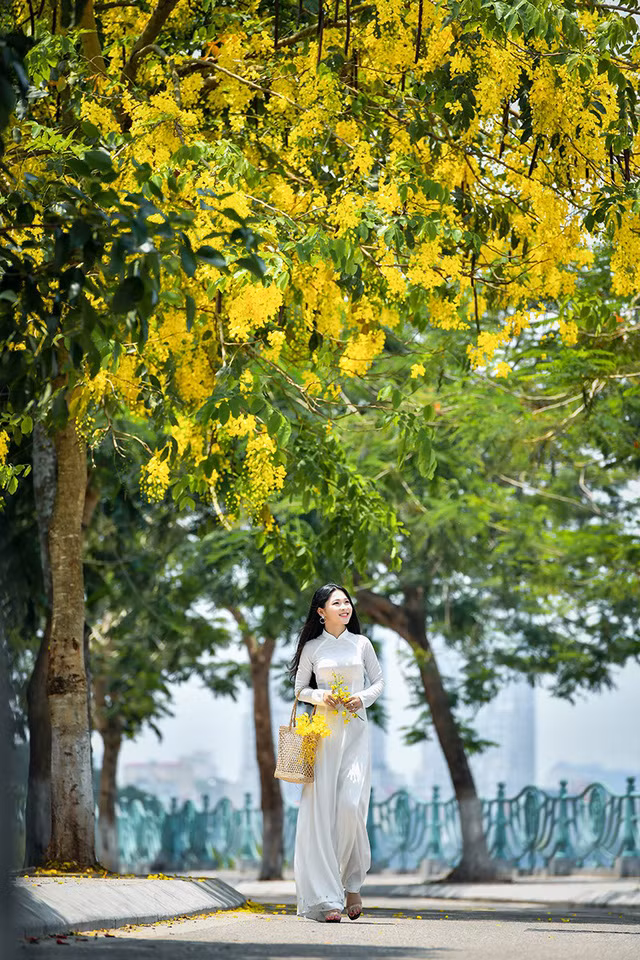 Ảnh sử dụng trong bài: Lê Xuân Bách.