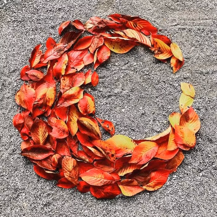 Xu hướng nghệ thuật xếp lá này được người dân Nhật gọi với cái tên "ochiba art" hay "nghệ thuật lá rụng", đó cũng là một ý tưởng hay, một thú tiêu khiển mang lại sức sống cho những vỉa hè nhàm chán mà lại không tốn đồng bạc nào cả.