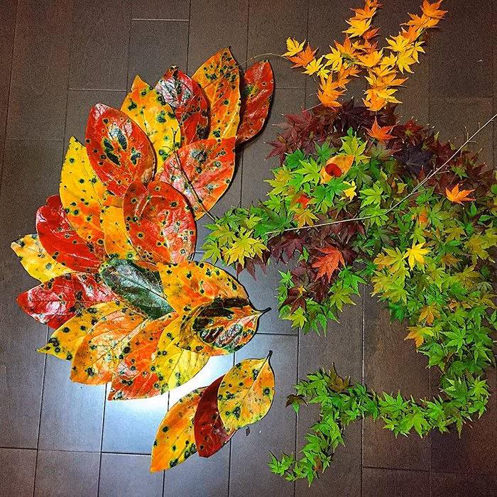 Bằng những chiếc lá vô chi, vô giác nhưng với đầu óc tưởng tượng hết sức phong phú của mình, người dân Nhật đã tạo nên những kiệt tác của nghệ thuật.