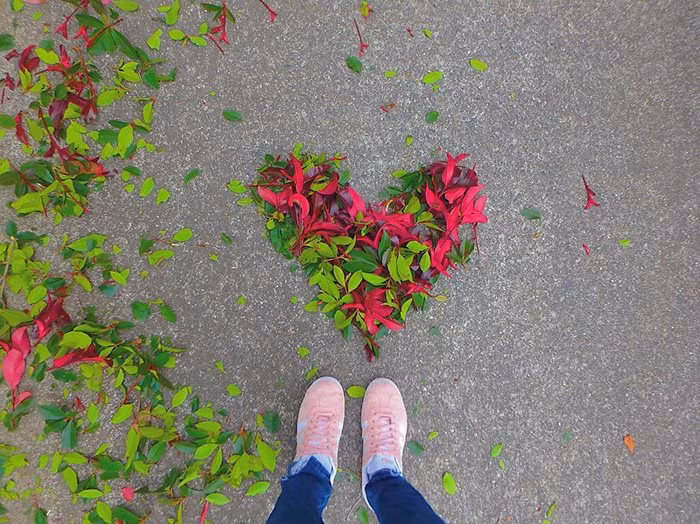 Cùng ngắm nhìn những kiệt tác từ lá khô do các bạn trẻ đến từ đất nước "mặt trời mọc" thể hiện và đăng tải trên mạng xã hội Instagram.