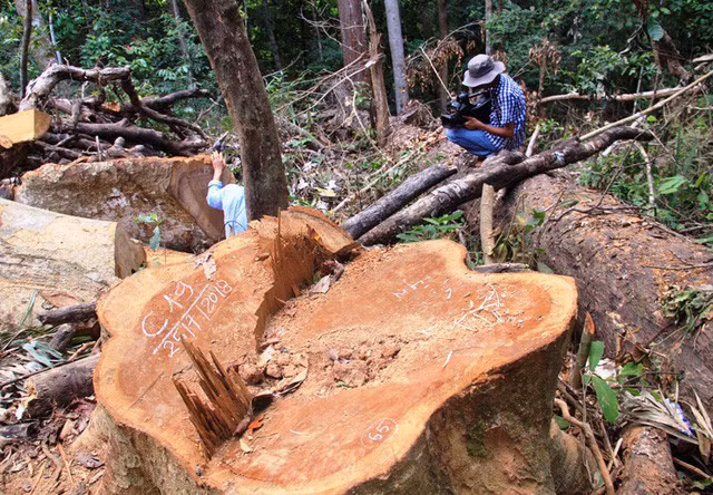 Chan xe tuan tra gay su voi can bo kiem lam