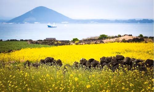 Những ai đã đến đây không chỉ bị mê hoặc bởi phong cảnh thiên nhiên mà còn được tìm hiểu thêm nét độc đáo về văn hóa, một bản sắc rất riêng không nơi nào có được.