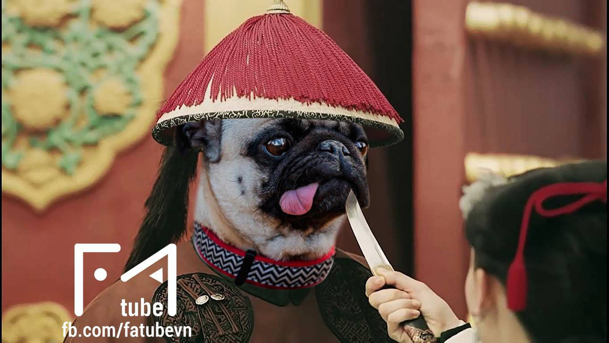 Sau hàng loạt những bức ảnh chế các nhân vật nổi tiếng ăn theo, mới đây các fan của bộ phim "Diên Hi Công Lược" lại chứng kiến thêm một phiên bản nữa mang tên thú cưng cực đáng yêu.