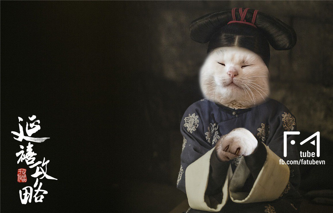 Tuy lạ mà quen, nếu là fan của series phim truyền hình Diên Hi Công Lược thì chắc chắn bạn sẽ nhận ra những những chú thú cưng này đang hóa thành nhân vật nào.