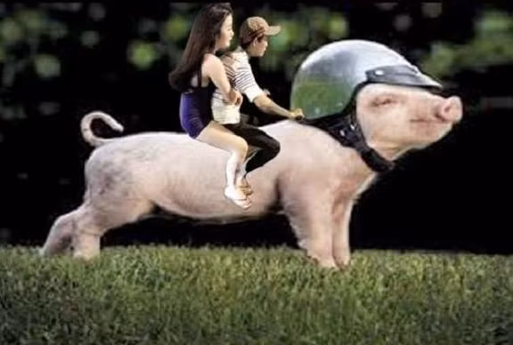 Tác phẩm nhận lại từ cư dân mạng gửi đến anh chàng có ước mơ xe "xịn". Ảnh: Facebook.