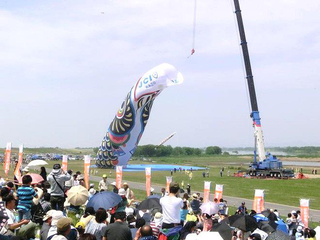 Những lá cờ cá chép có thể chỉ dài chừng một tấc, có khi là cả mét, tùy theo mục đích và nơi trưng bày. Koinobori thường được làm bằng giấy và vẽ màu với màu sắc sặc sỡ.