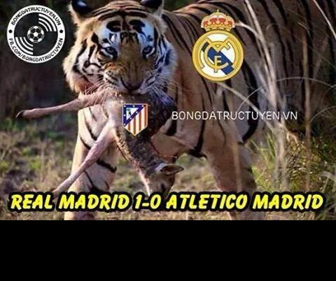 Hổ dữ Real Madrid đã hạ gục được con mồi là Atletico Madrid.