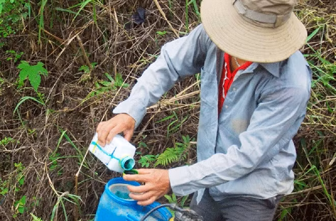 Không khó khăn gì để mua thuốc diệt cỏ.