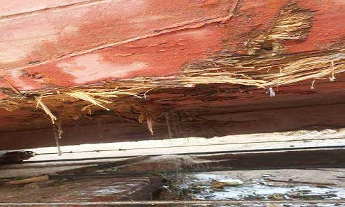 Cuu 18 thuyen vien bi chim tren bien