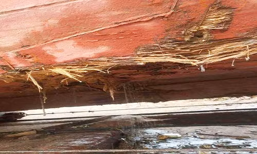 Cuu 18 thuyen vien bi chim tren bien