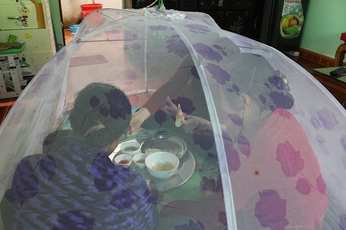 "Chắc nhiều ruồi muỗi quá nên bà chủ mới nghĩ ra cách mắc màn đó. Trông thế lại hay, nhiều người tò mò vào mua hàng", thành viên Tuấn Nguyễn bình luận.