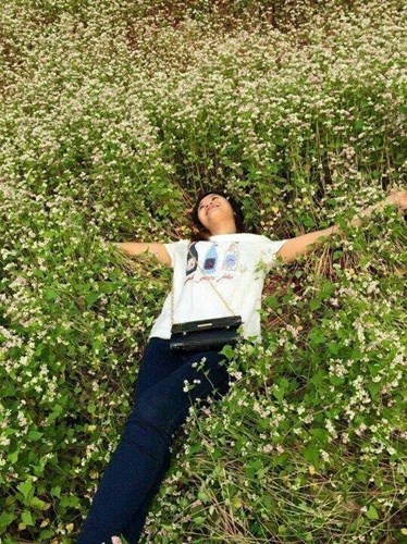 Trước đây những hình ảnh như trên từng bị cộng đồng mạng lên án rất nhiều khi các bạn trẻ tàn phá cánh đồng hoa tam giác mạch tại Hà Giang.