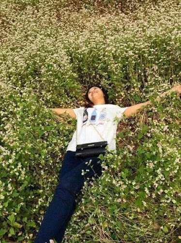 Trước đây những hình ảnh như trên từng bị cộng đồng mạng lên án rất nhiều khi các bạn trẻ tàn phá cánh đồng hoa tam giác mạch tại Hà Giang.