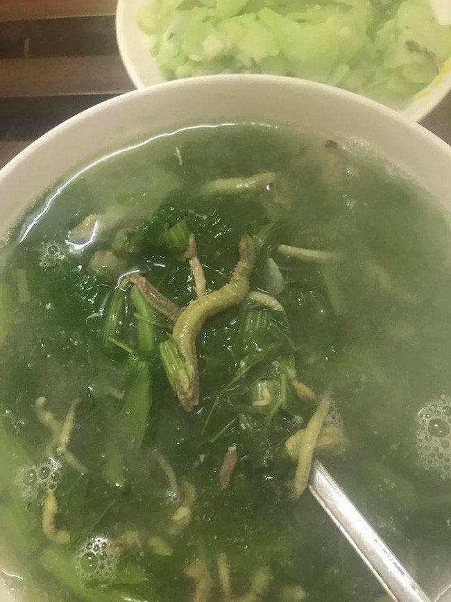 Chính Thu T. cũng thừa nhận rằng "ai cũng nói dị", nhưng bất chấp tất cả, cô ấy vẫn thấy bát canh rươi ngon vô cùng, phần miêu tả hương vị cũng đầy hoa mỹ: "Nhìn con rươi béo ục ịch nhiều bột chỉ muốn ăn luôn".