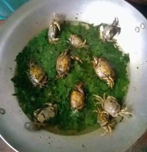 Thực sự thì những ai nếm thử con rươi rồi thì đều công nhận nó xứng đáng được coi là đặc sản miền Bắc. Tuy nhiên, trải nghiệm vị giác là một chuyện, ngắm nhìn món rươi lại là chuyện hoàn toàn khác.