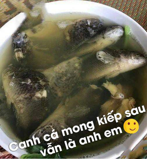 Nhất là với hội chị em đảm đang thích bếp núc, món canh rươi ấy quả thực mất thẩm mỹ vô cùng.