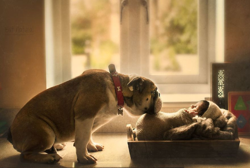 Và cũng từ đấy, "nhiếp ảnh" đã bắt đầu gắn với cái tên Sujata. Cô được cả thế giới biết đến là một nữ nhiếp ảnh tài giỏi, với nước ảnh tự nhiên và vô cùng lãng mạn.