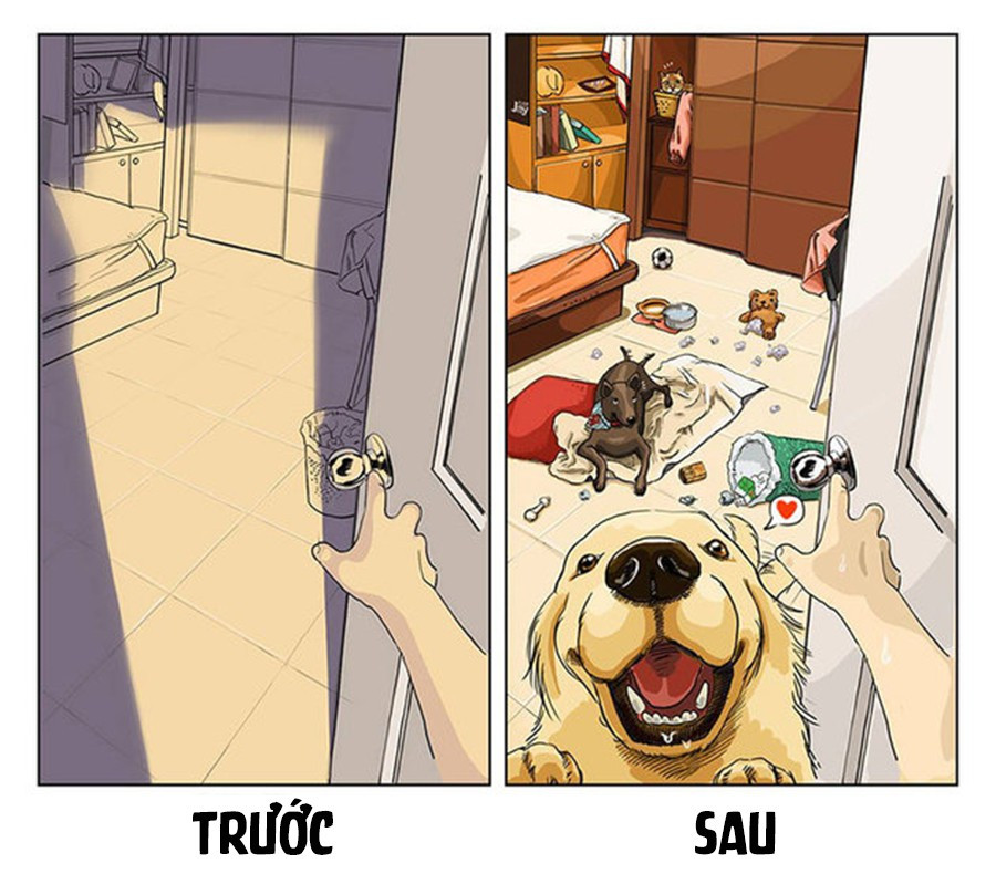 Đi làm về, mở cửa ra chào đón bạn là một căn phòng sạch sẽ, ngăn nắp nhưng cũng khá trống trải. Sau khi có đội quân chó mèo, căn phòng của bạn lúc nào cũng như bãi chiến trường.