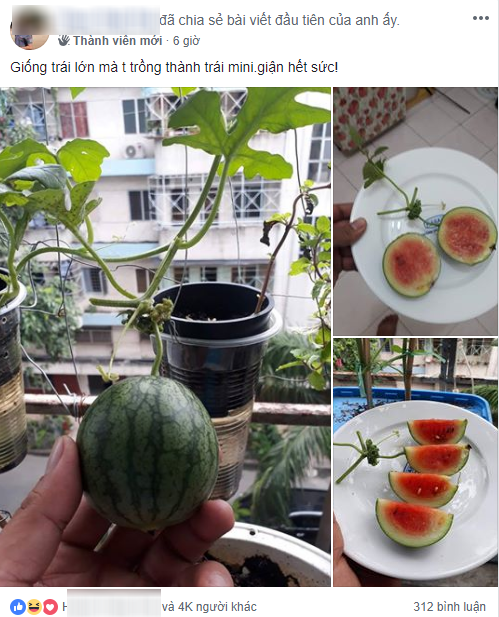 Ai trồng cây cũng muốn có ngày thu được hoa thơm quả ngọt nhưng không phải ai cũng may mắn như vậy. Những thứ hoa quả thu về được chẳng như những gì mà họ mong muốn được hưởng thụ.