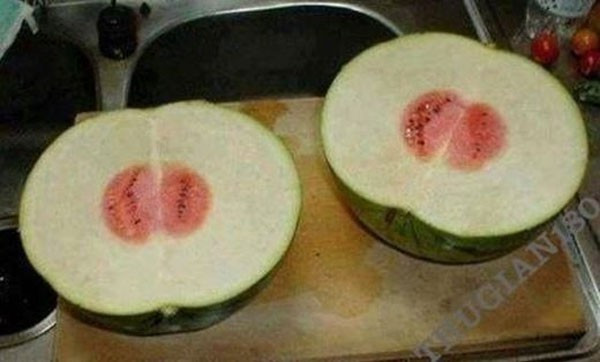 Tuy nhiên, trước đó đã có khá nhiều trường hợp chủ nhân phải "cười ra nước mắt" khi mỗi lần thu hoạch lại bị trái cây "chơi khăm".