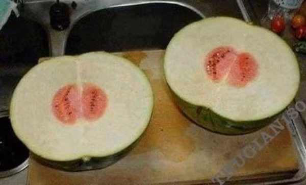 Tuy nhiên, trước đó đã có khá nhiều trường hợp chủ nhân phải "cười ra nước mắt" khi mỗi lần thu hoạch lại bị trái cây "chơi khăm".