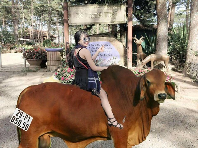 "Mù công nghệ" và muốn có ảnh sống ảo nhưng các cô bạn nhờ dân mạng sửa ảnh lại phải đối mặt với cái kết vô cùng đắng. Thậm chí, có người còn tâm sự rằng chỉ muốn "độn thổ" khi nhìn những sản phẩm mình nhận về.