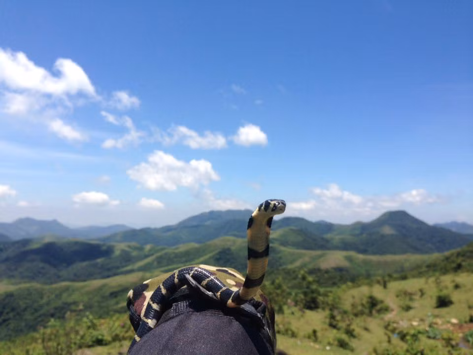 Câu chuyện của Linh đã thu hút rất nhiều cư dân mạng. Nhiều người sợ hãi nhưng có một số người tỏ ra thích thú, cho rằng hành động của Linh là đúng đắn.