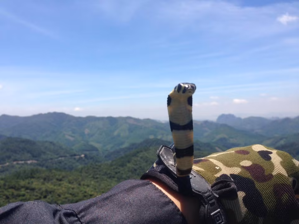 Văn Linh cho biết cậu không những đưa rắn đi chơi mà còn đặt tên riêng cho chú "thú cưng" lạ và độc của mình là Dạ Hoa Quân. Ảnh sử dụng trong bài: Facebook Phạm Văn Linh.