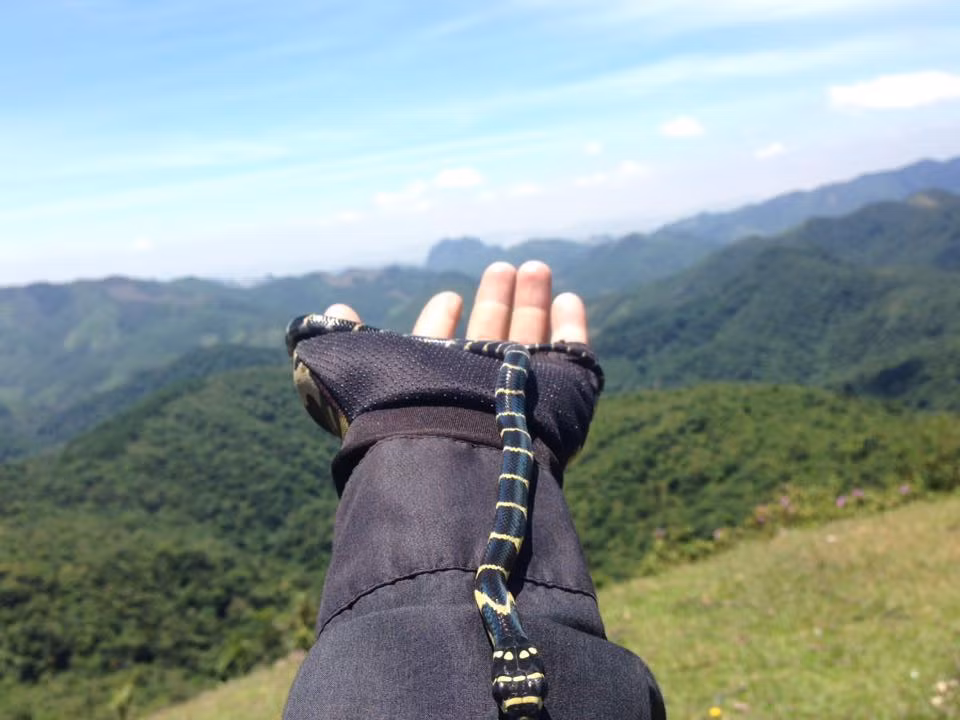 Văn Linh cho biết đây là một sự tình cờ. Cậu có thể nuôi chú rắn lâu nhưng việc thả nó về rừng quan trọng và cần thiết hơn với nó. Bởi rắn là loài động vật hoang dã và nó thích hợp hơn với cuộc sống tự nhiên.