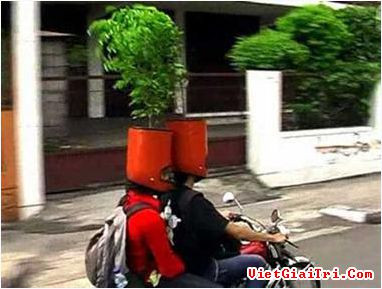 Chiếc mũ bảo hiểm thân thiện với môi trường.