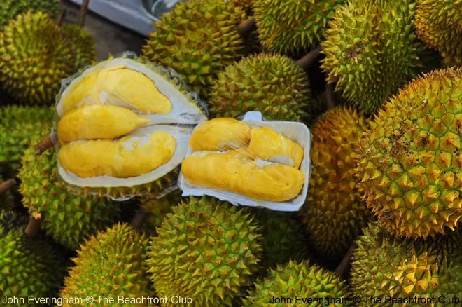 Sầu riêng: Loại quả phổ biến ở vùng Đông Nam Á này được coi là một trong những món khách Tây không thể bỏ qua khi đến Việt Nam. Tuy có vị ngon độc đáo, sầu riêng có mùi khá khó ngửi với những ai không ăn được hay mới thấy lần đầu. Ảnh: John Everingham.