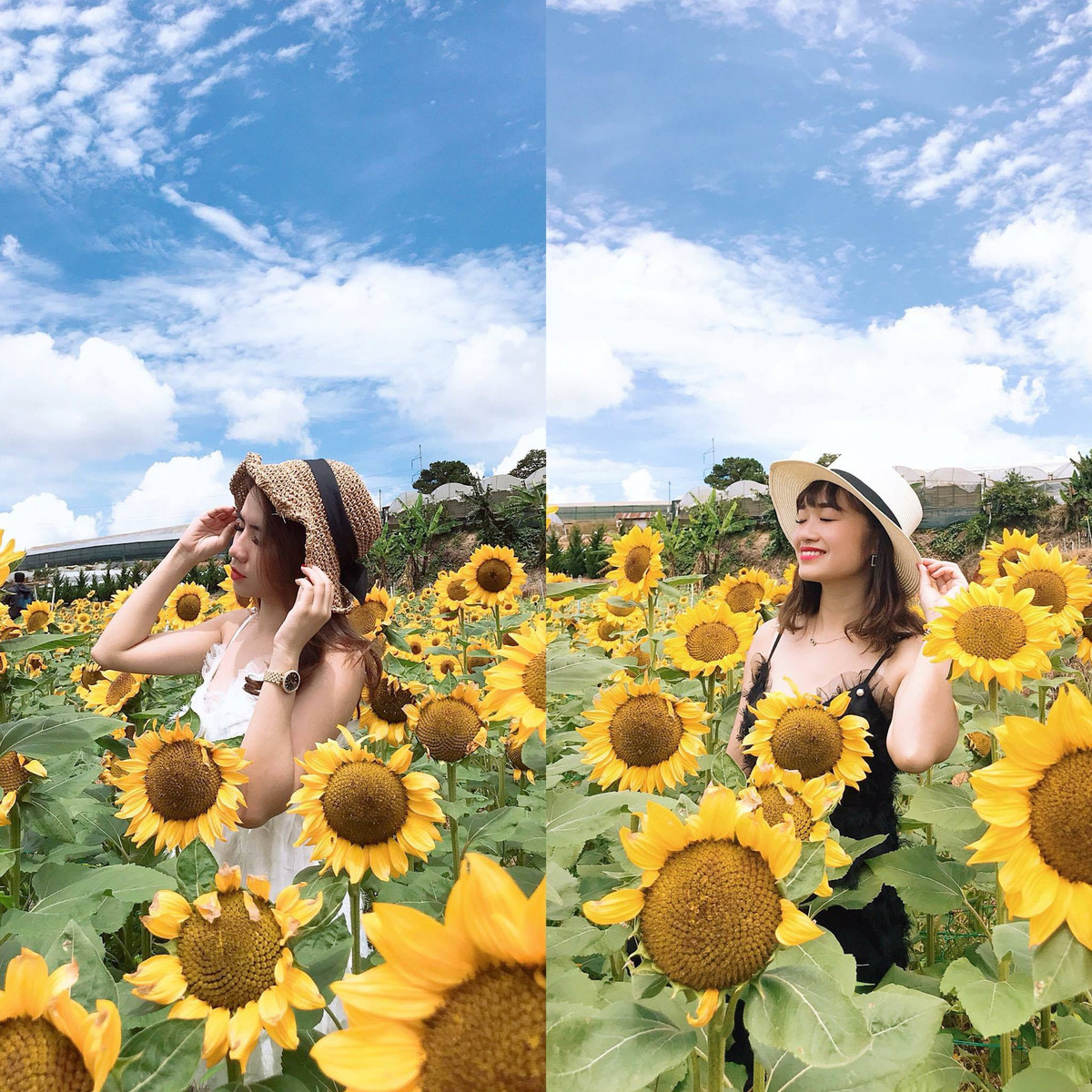 Không cần biết ai gầy, ai béo, ai cao, ai thấp. Với kiểu chụp ảnh này, tất cả đều là đại mỹ nhân trong khung hình của mình.