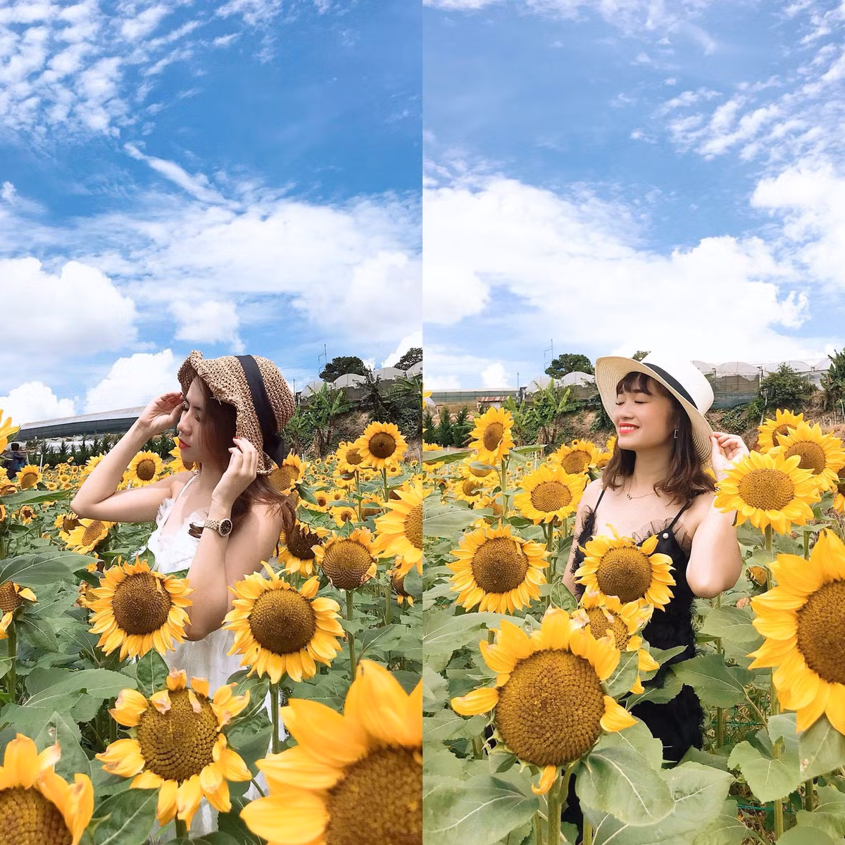 Không cần biết ai gầy, ai béo, ai cao, ai thấp. Với kiểu chụp ảnh này, tất cả đều là đại mỹ nhân trong khung hình của mình.