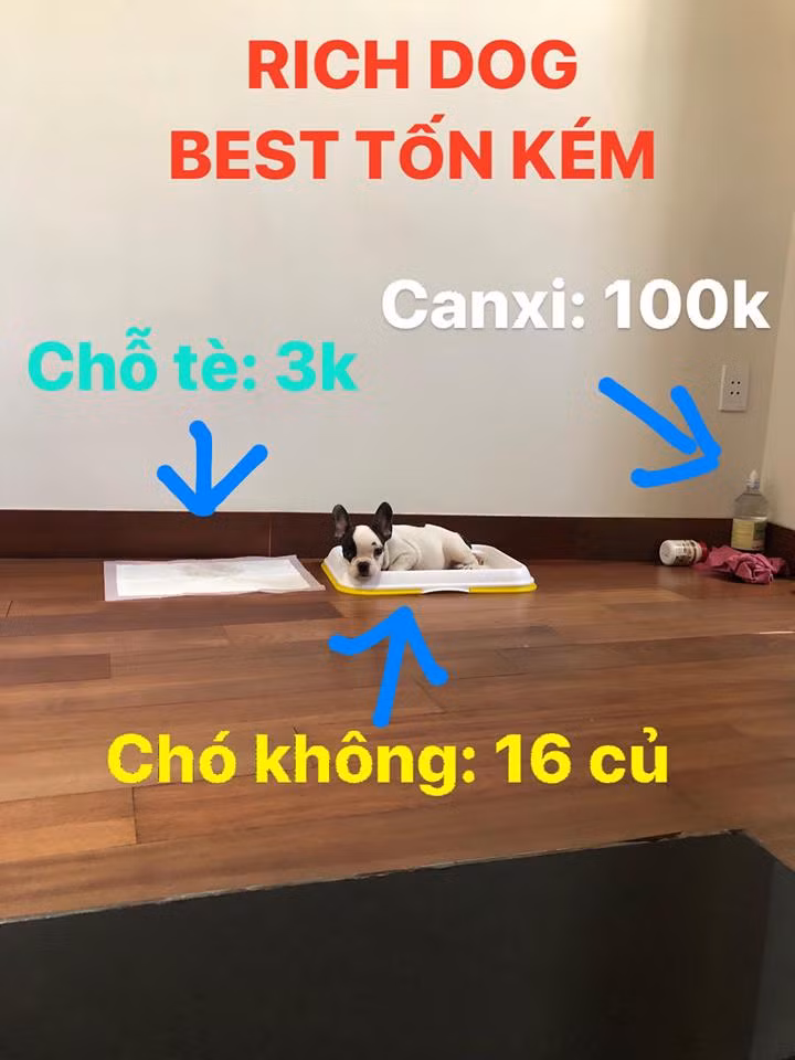 Có bạn còn liệt kê một loạt món đồ sang chảnh mặc trên người rồi chốt lại bằng một câu "đồ thử, chưa mua".