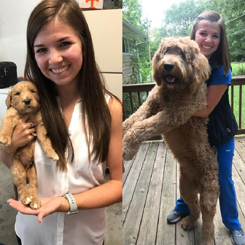 Nhắc tới trào lưu khoe ảnh ngày ấy, bây giờ thường mọi người sẽ nghĩ ngay đến những tấm hình của các bạn trẻ so sánh sự khác biệt giữa khi còn bé và hiện tại.