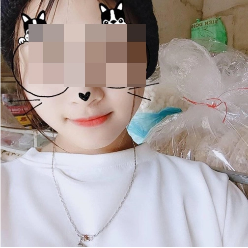 Câu chuyện cô nàng lấy chồng trên mạng thực chất là do một vài cư dân mạng mang đi viết bài, bịa chuyện câu "like".